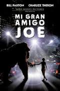 Mi Gran Amigo Joe (2008) poster